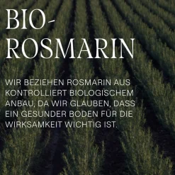 Vitalisierende Rosmarin-Spülung - Nährt und verleiht einen natürlichen Glanz><noscript><img width=