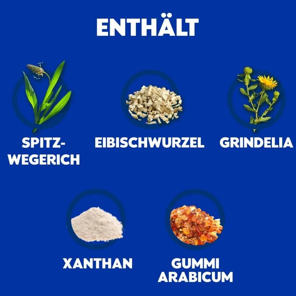 WICK Husten-Sirup Natura für Erwachsene: 2-in-1 Linderung von Reizhusten und produktivem Husten> Discount