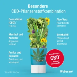 Wobecare® CBD Aktiv Creme| Hot