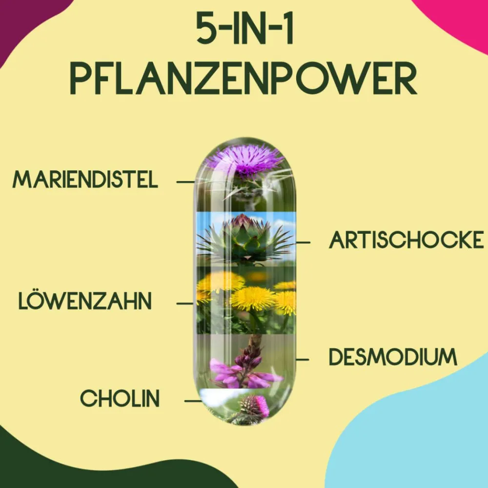 WURZELLIEBE® Leber Komplex - Leber Kur mit Mariendistel, Artischocke, Löwenzahn, Desmodium & Cholin> Clearance