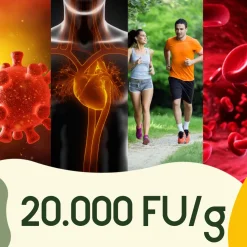 WURZELLIEBE® Nattokinase 100mg & 20.000 FU/g hochdosiert - 240 vegane Kapseln| Hot
