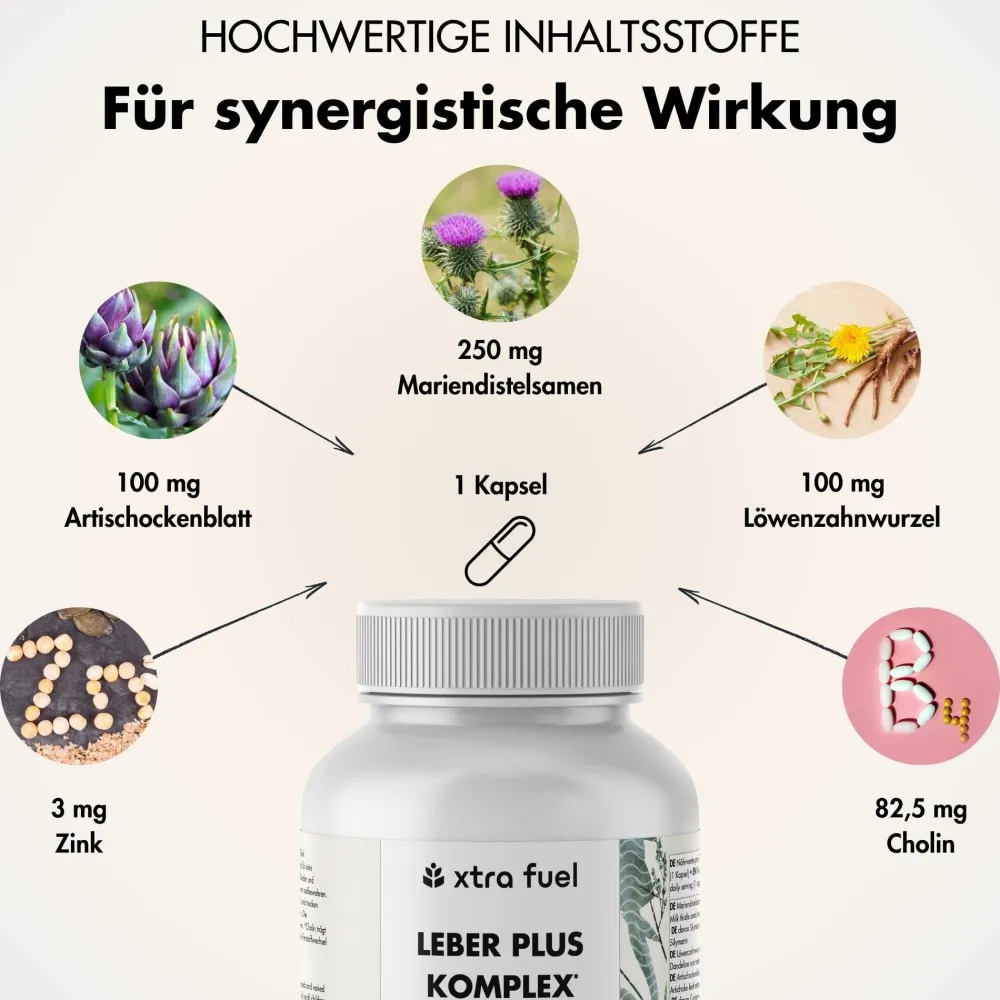 XTRA FUEL Leber Komplex - Leber Kur mit Mariendistel, Artischocke & Löwenzahn> Sale