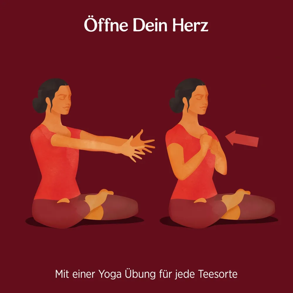 - Classic Chai Bio Gewürztee|YOGI TEA Discount