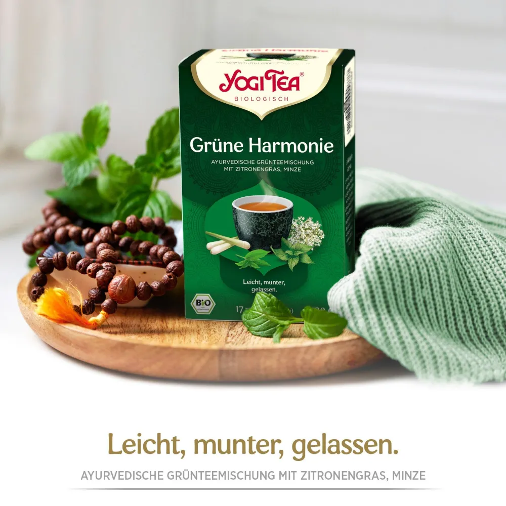 - Grüne Harmonie Bio Grüntee>YOGI TEA Hot