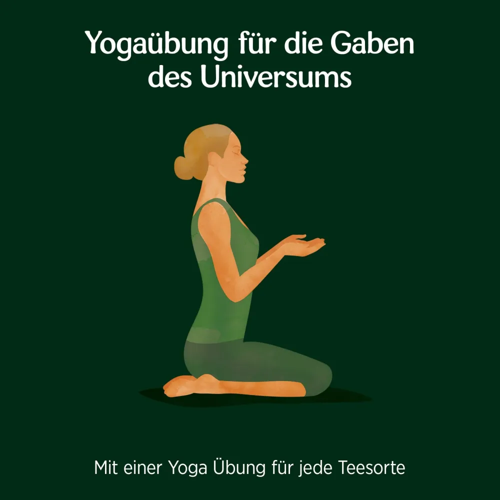 - Grüne Harmonie Bio Grüntee>YOGI TEA Hot