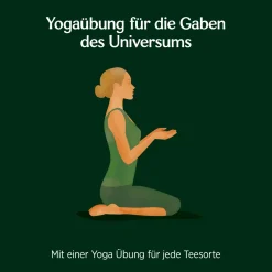 ® Grüne Harmonie, Grüner Bio Kräutertee|YOGI TEA Discount