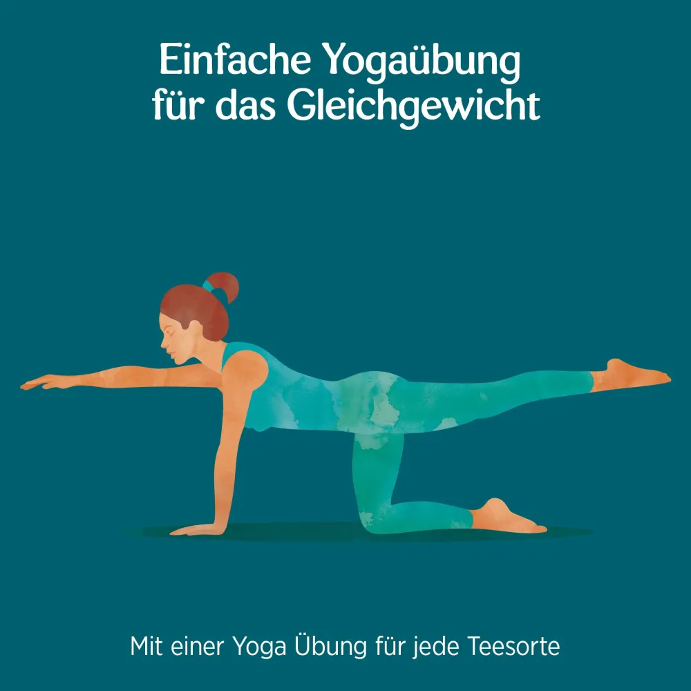 YOGI TEA® Halswärmer, Bio Kräutertee|Taoasis Clearance