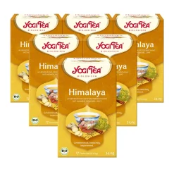 - Himalaya Chai Bio Gewürztee>YOGI TEA Hot