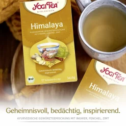 - Himalaya Chai Bio Gewürztee>YOGI TEA Hot