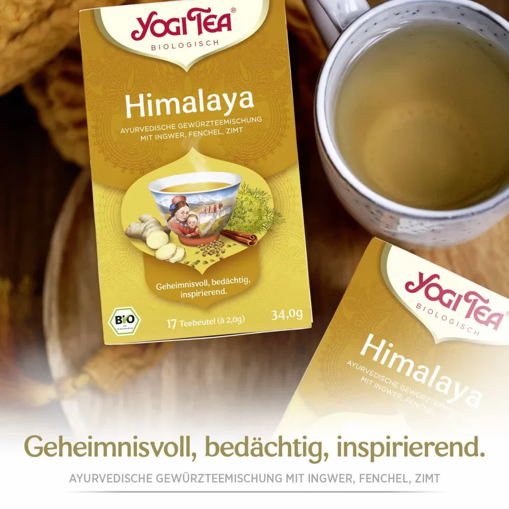 - Himalaya Chai Bio Gewürztee>YOGI TEA Hot