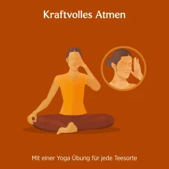 ® Ingwer Orange mit Vanille, Gewürztee|YOGI TEA Online