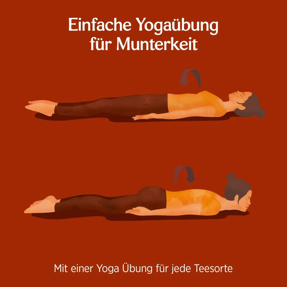 -Lakritz Bio Gewürztee>YOGI TEA