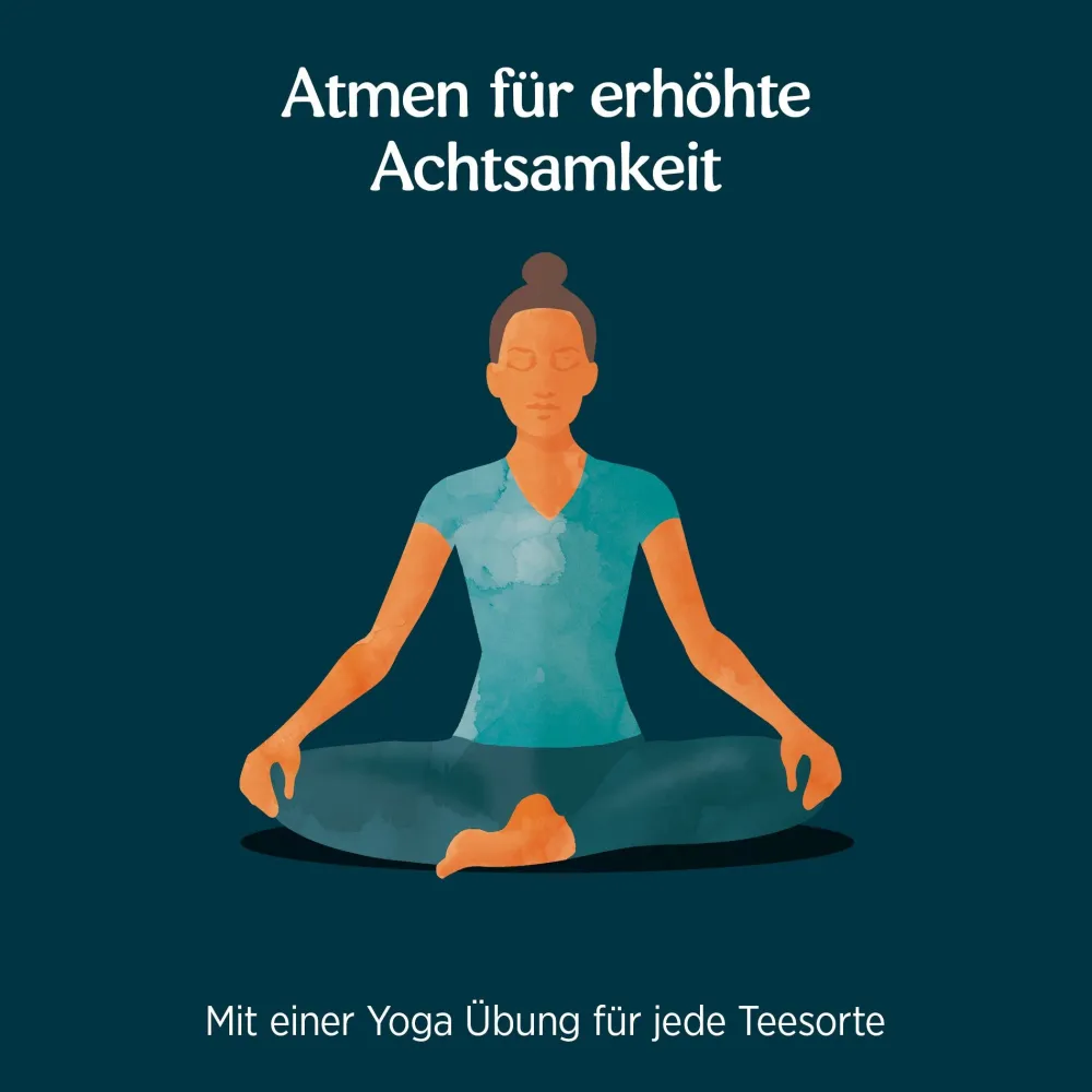 - Lakritz Minze Bio Gewürztee|YOGI TEA Best