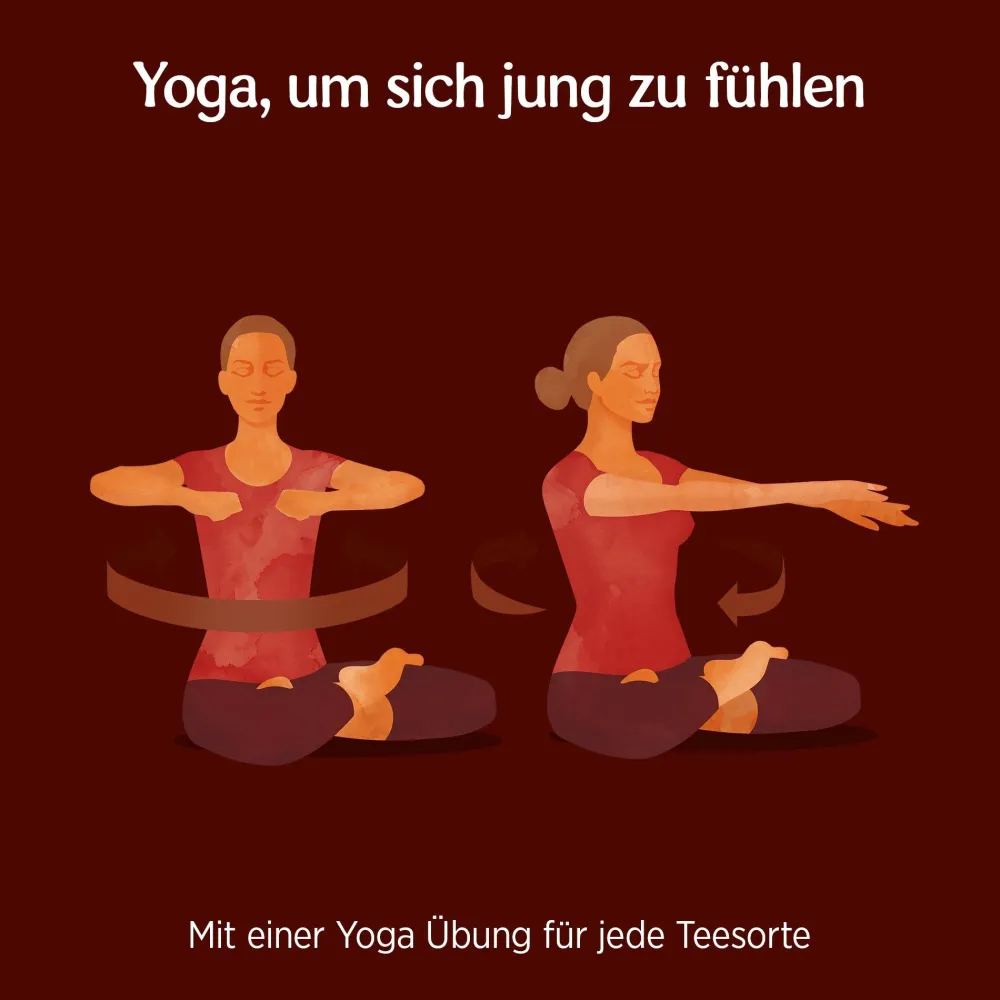 - Maca Chai Bio Gewürztee|YOGI TEA Online