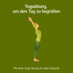 Morgen Energie|YOGI TEA Hot