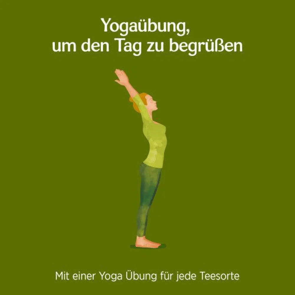 Morgen Energie|YOGI TEA Hot