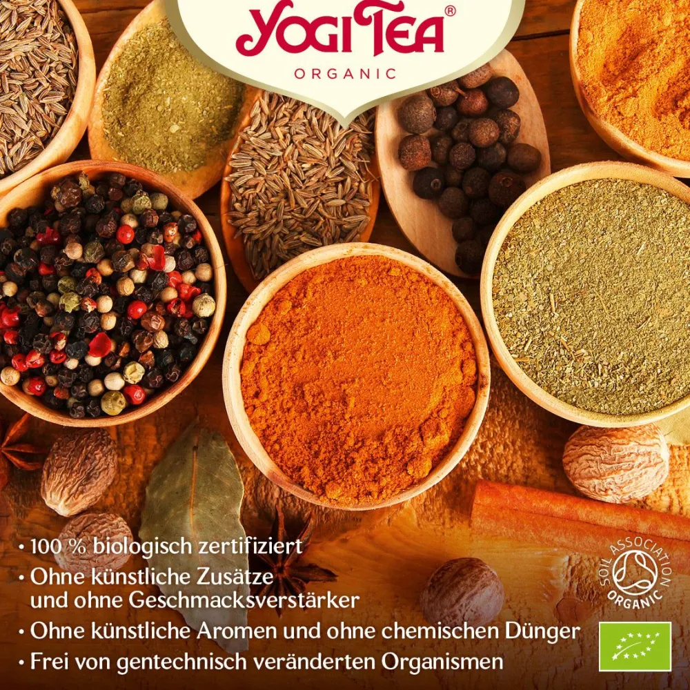 Morgen Energie|YOGI TEA Hot