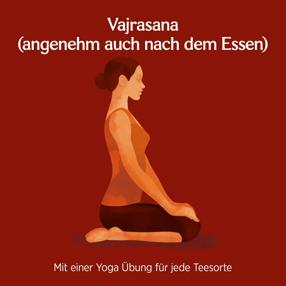 ® Nach dem Essen, Bio Kräutertee>YOGI TEA Best