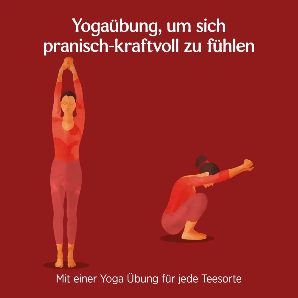 - Positive Energie Bio Schwarztee|YOGI TEA Clearance