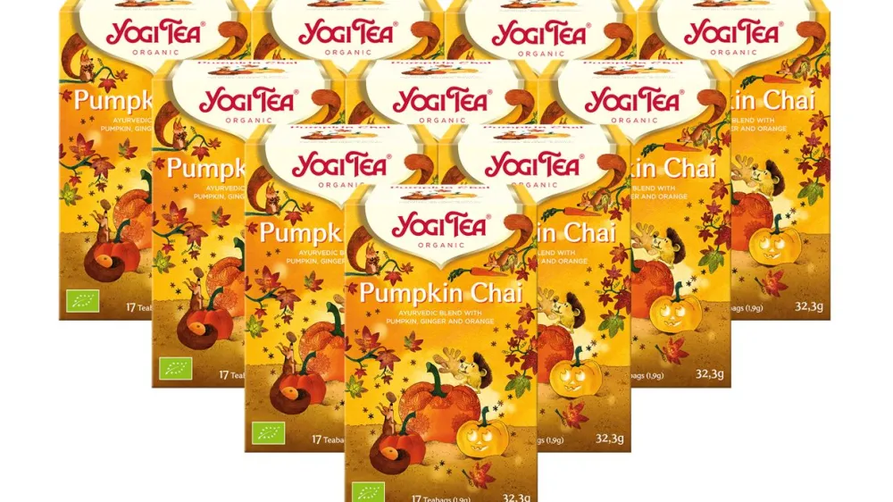 - Pumpkin Chai Bio Gewürztee|YOGI TEA Outlet