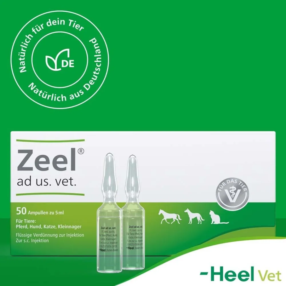 Zeel® ad us. vet. Ampullen>Zeel ad us. vet.