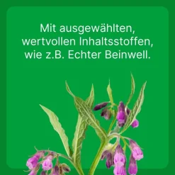 Zeel® LT ad us. vet.><noscript><img width=