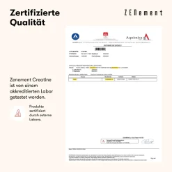 Zenement Creatin Monohydrat Pulver| Discount