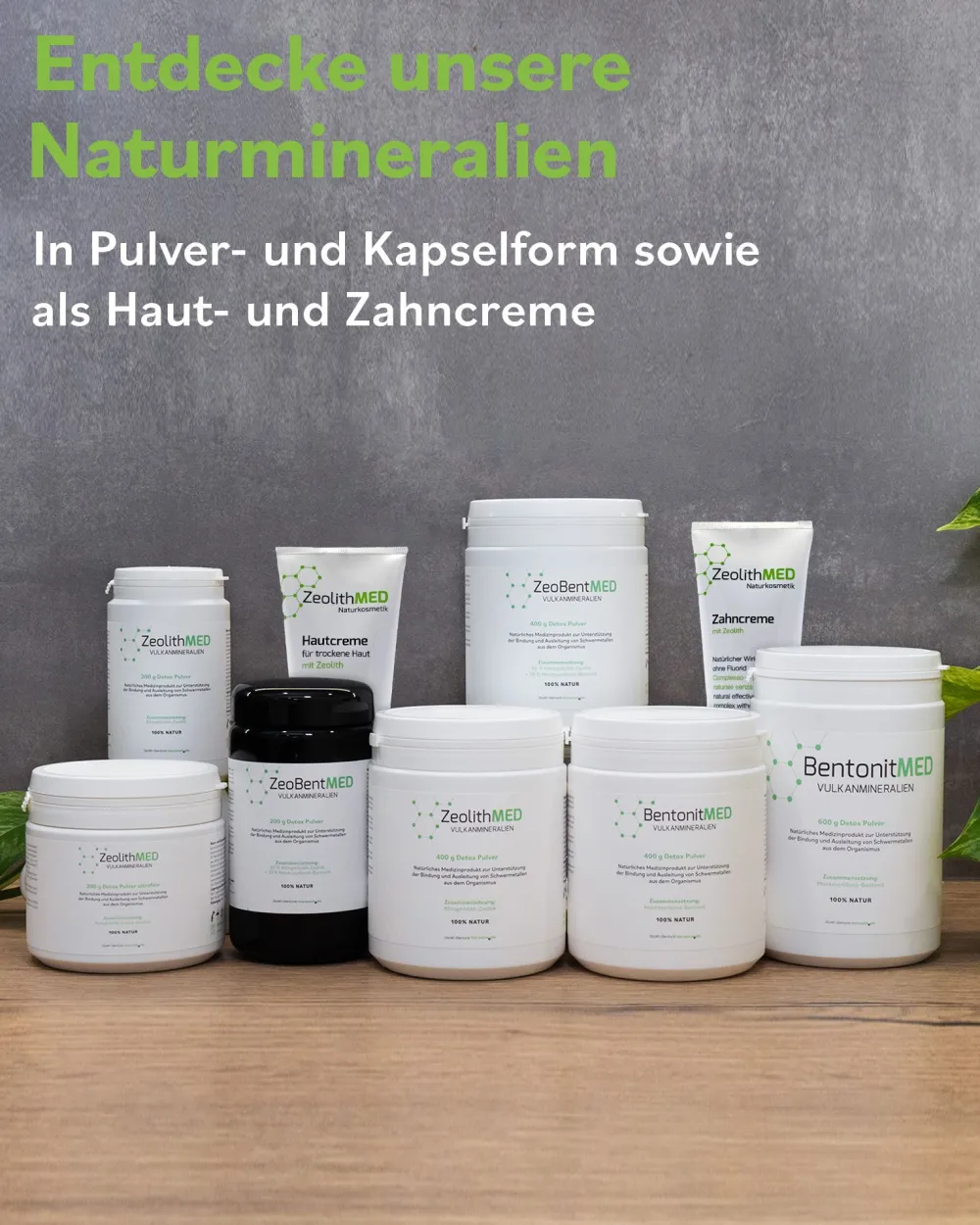 ZeoBent MED Detox Pulver> Outlet