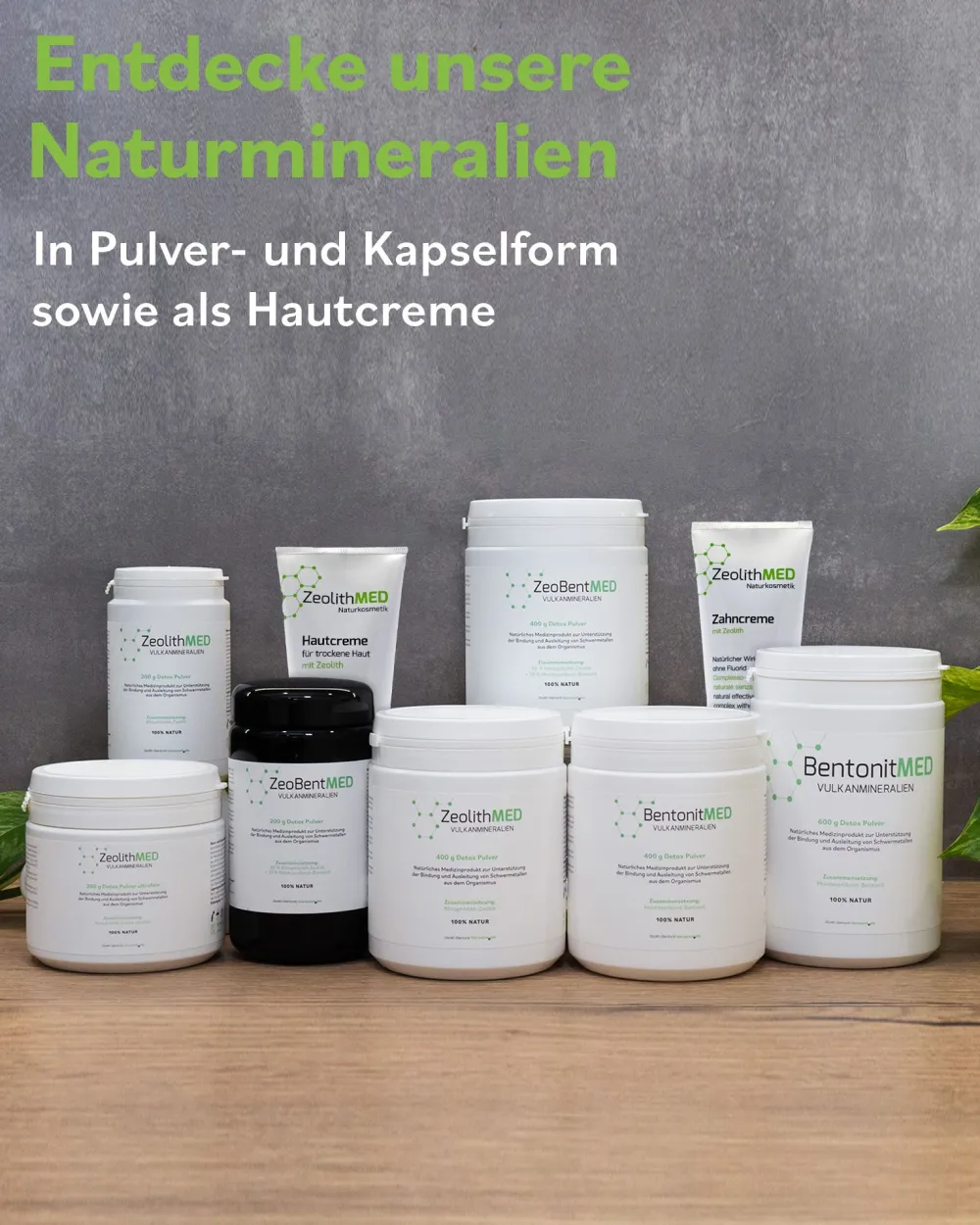 Zeolith MED Zahncreme, Zahnpasta ohne Fluorid, mit Xylit und Minze>ZeolithMED Online
